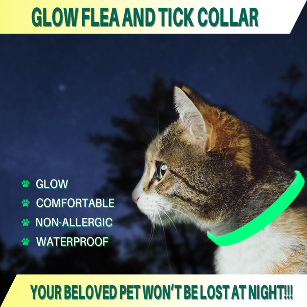 62cm Glow in the dark Collar Dog Cat Ticks & Flea Treatment 8 Months Protection