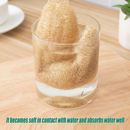 5Pcs Natural Loofah Luffa Loofa Exfoliating Shower Sponge Body Bath Scrubbers AU