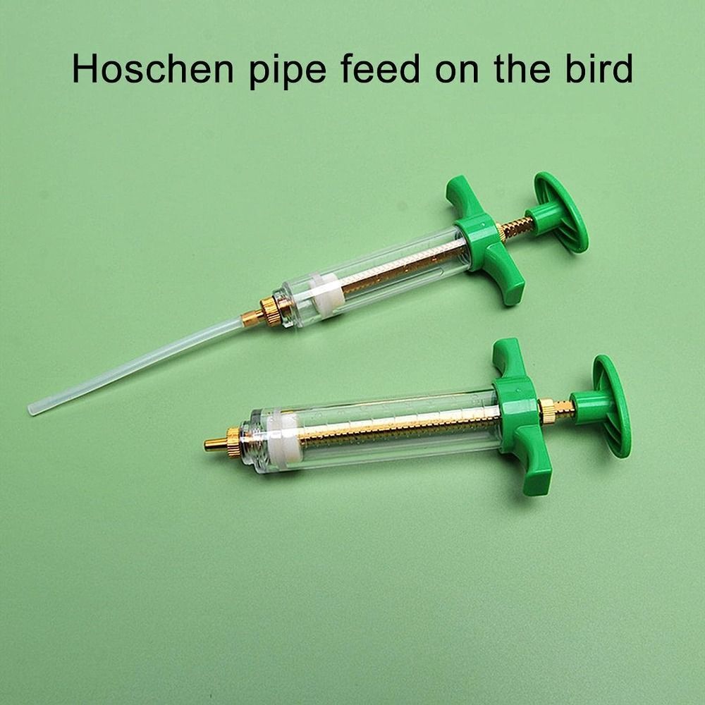 With Accurate Scale Baby Birds Feeding Injector Kit  Bird