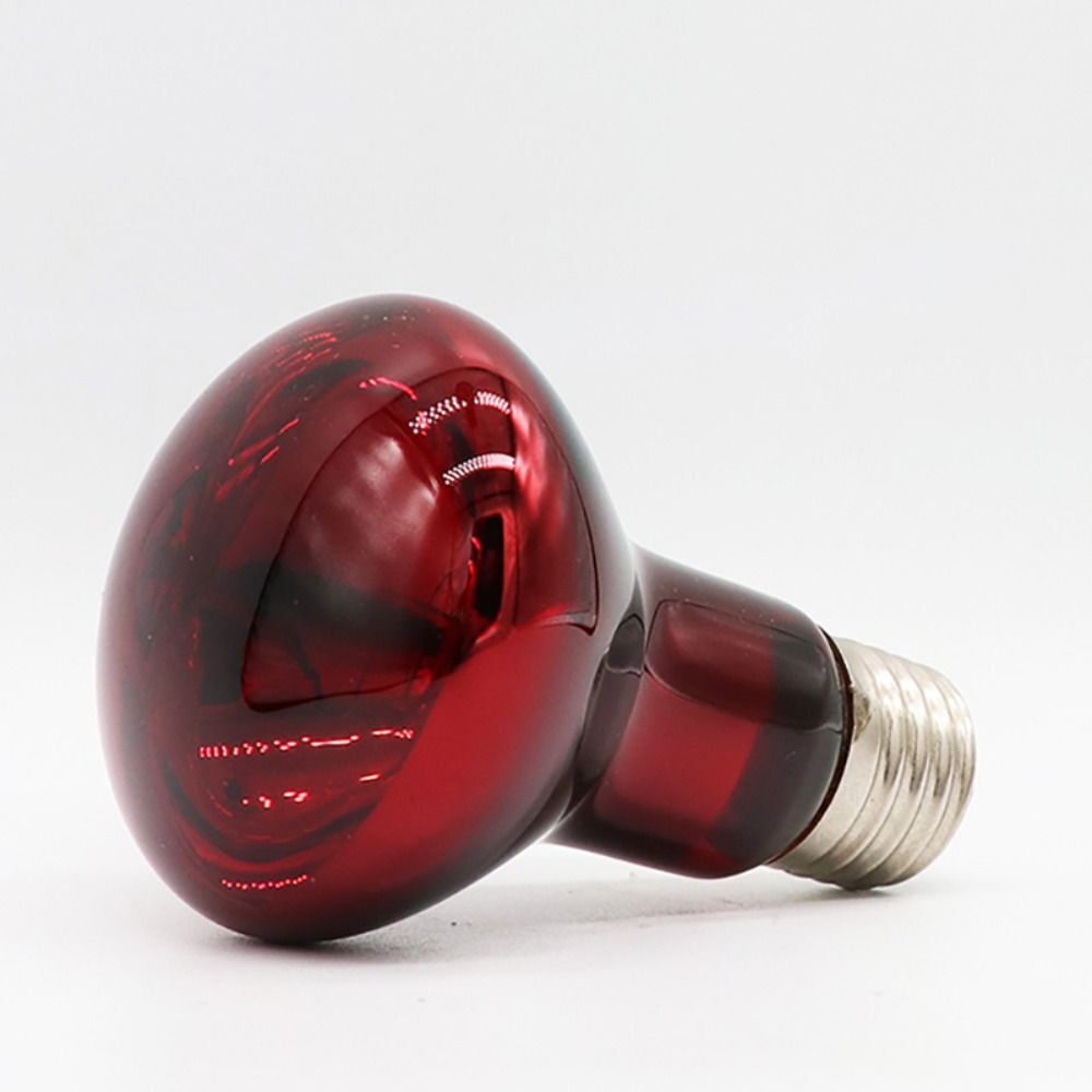 UVA Lamp Amphibian Bird Light Heat Reptile Bulb Snake Day/Night Pet Heating Lamp