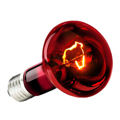 UVA Lamp Amphibian Bird Light Heat Reptile Bulb Snake Day/Night Pet Heating Lamp