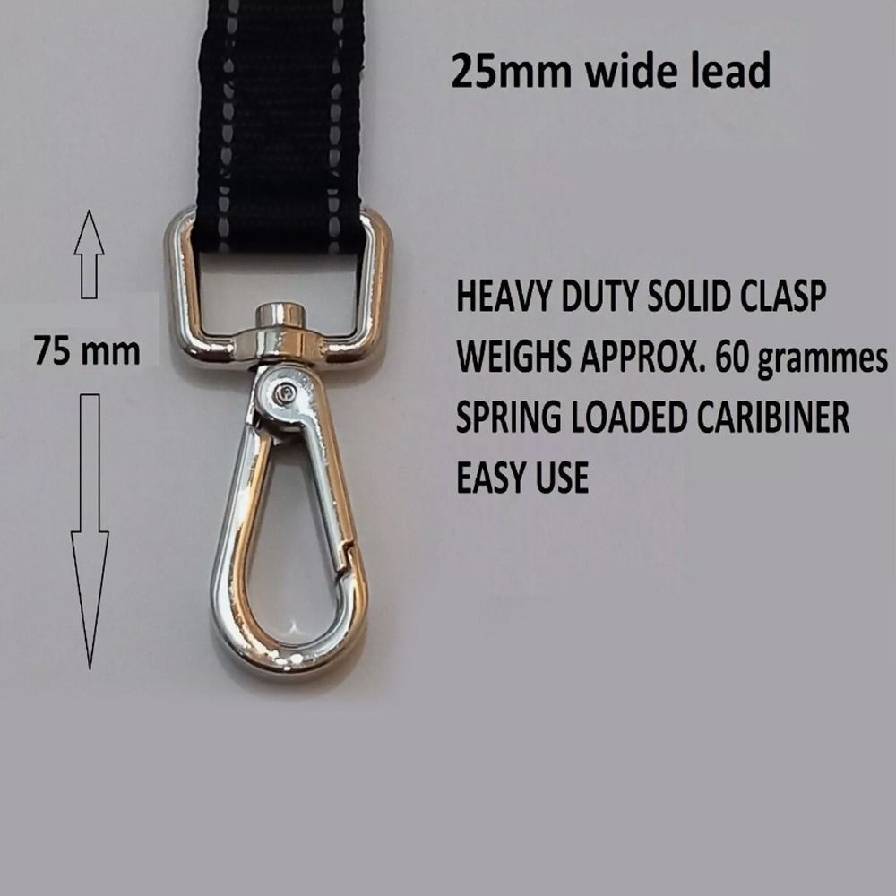 Reflective Dog Lead Strong Padded Tracking Leash Dog Training Lead  for Dog