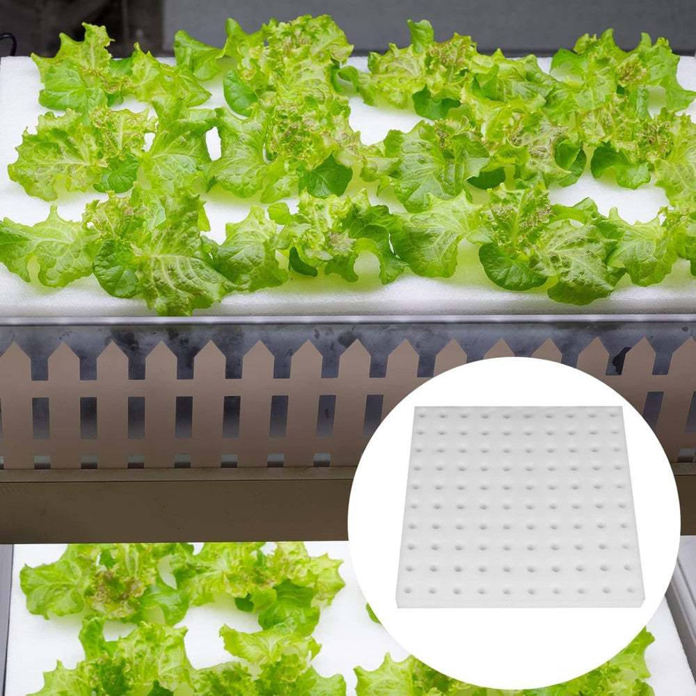 100x Soilless Hydroponic Sponge Greenhouse Plant Flower Cultivation Garden Tools