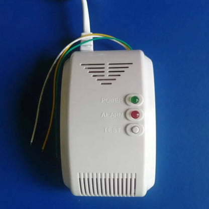12V Gas Detector Alarm Carbon Monoxide Gas Detector Natural Motor Home Camper