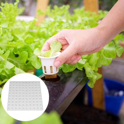 100x Soilless Hydroponic Sponge Greenhouse Plant Flower Cultivation Garden Tools