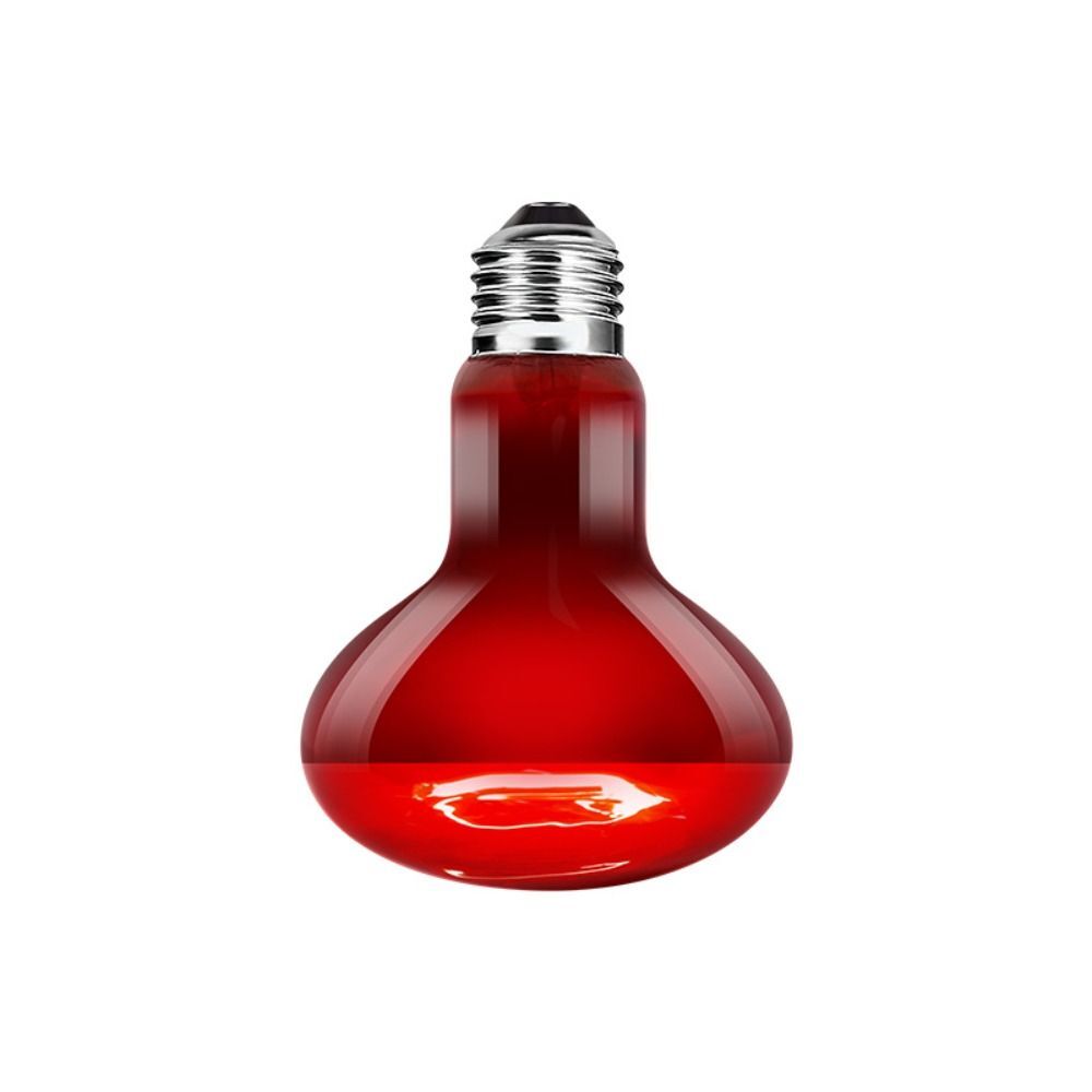 UVA Lamp Amphibian Bird Light Heat Reptile Bulb Snake Day/Night Pet Heating Lamp