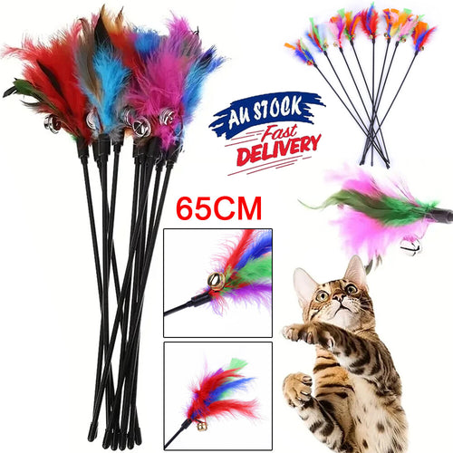 10PCS Kitten Cat Feather Toy Bell Wand Teaser Rod Interactive Play Pet Gift Toys