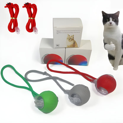 AU Interactive Dog & Cat Toy Rechargeable Rolling Ball with Fake Tail Pet Fun