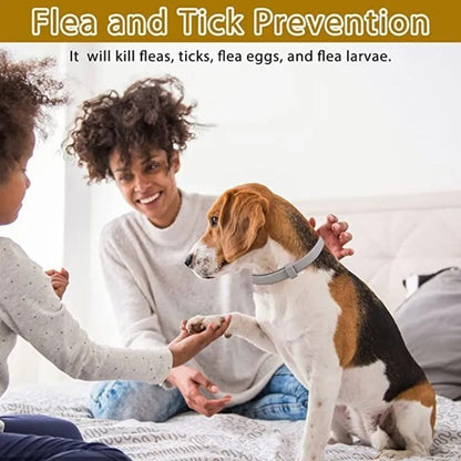 8 Month Flea & Tick Collar for Dogs & Cats Adjustable Waterproof AU Stock