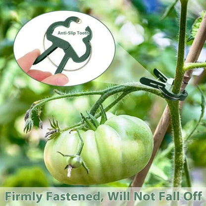 100x Garden Plant Clip Tomato Tie Stem Orchid Support Weatherproof Grow Training