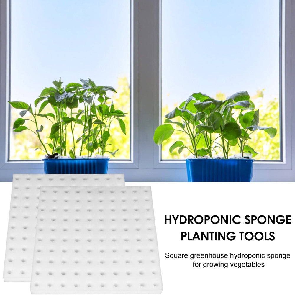 100x Soilless Hydroponic Sponge Greenhouse Plant Flower Cultivation Garden Tools