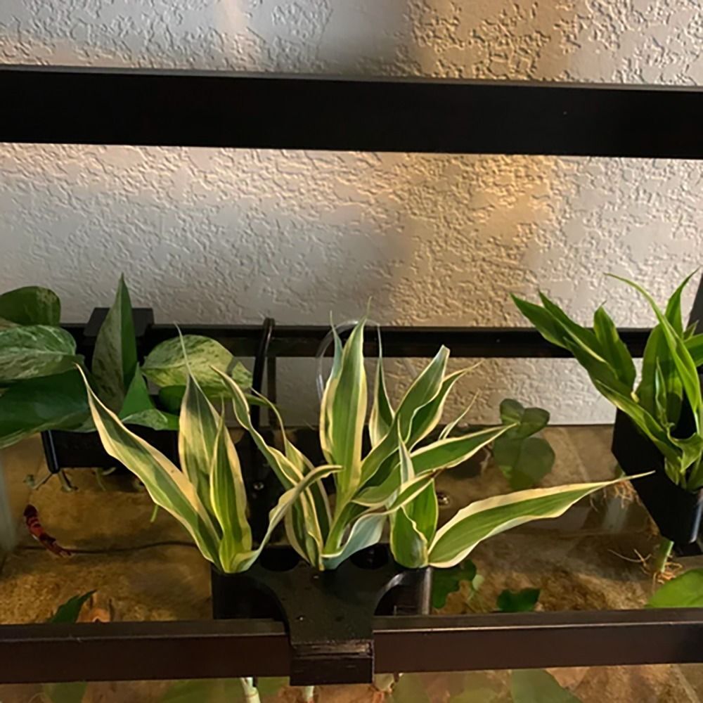 Aquarium Fish Tank Emerging Plant Holder Plant Cultivation Rack Storage Rack