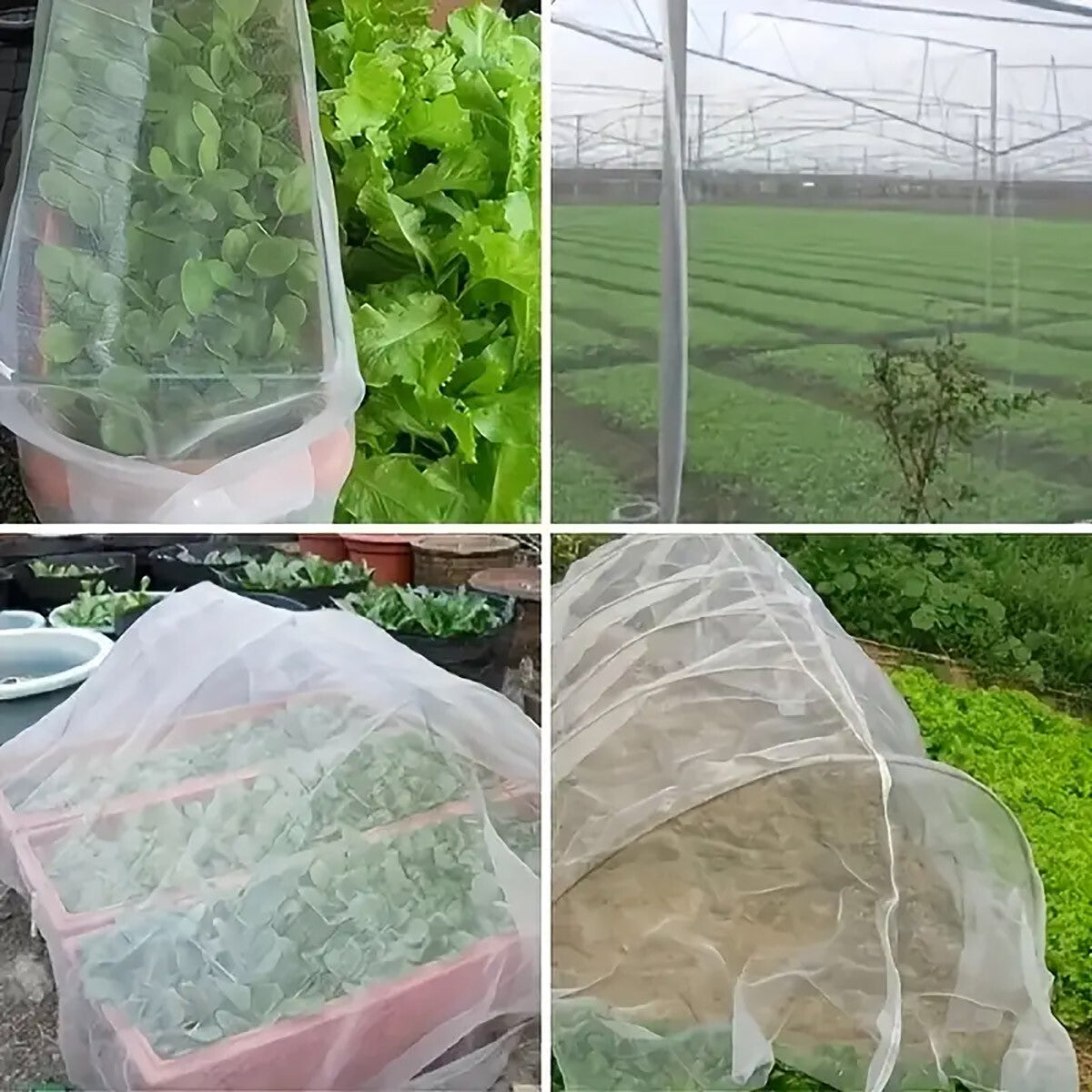 Garden Netting Insect Bug Fly Fruit Mesh Net Vegetable Plant Protection Cover AU